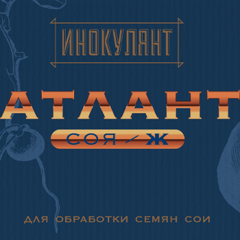 Разработка дизайна упаковки продукта