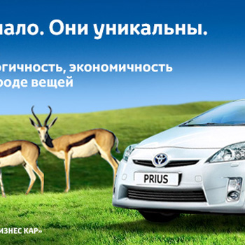 Баннер Toyota 