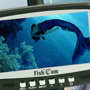 Дизайн баннера подводной камеры для рыбалки