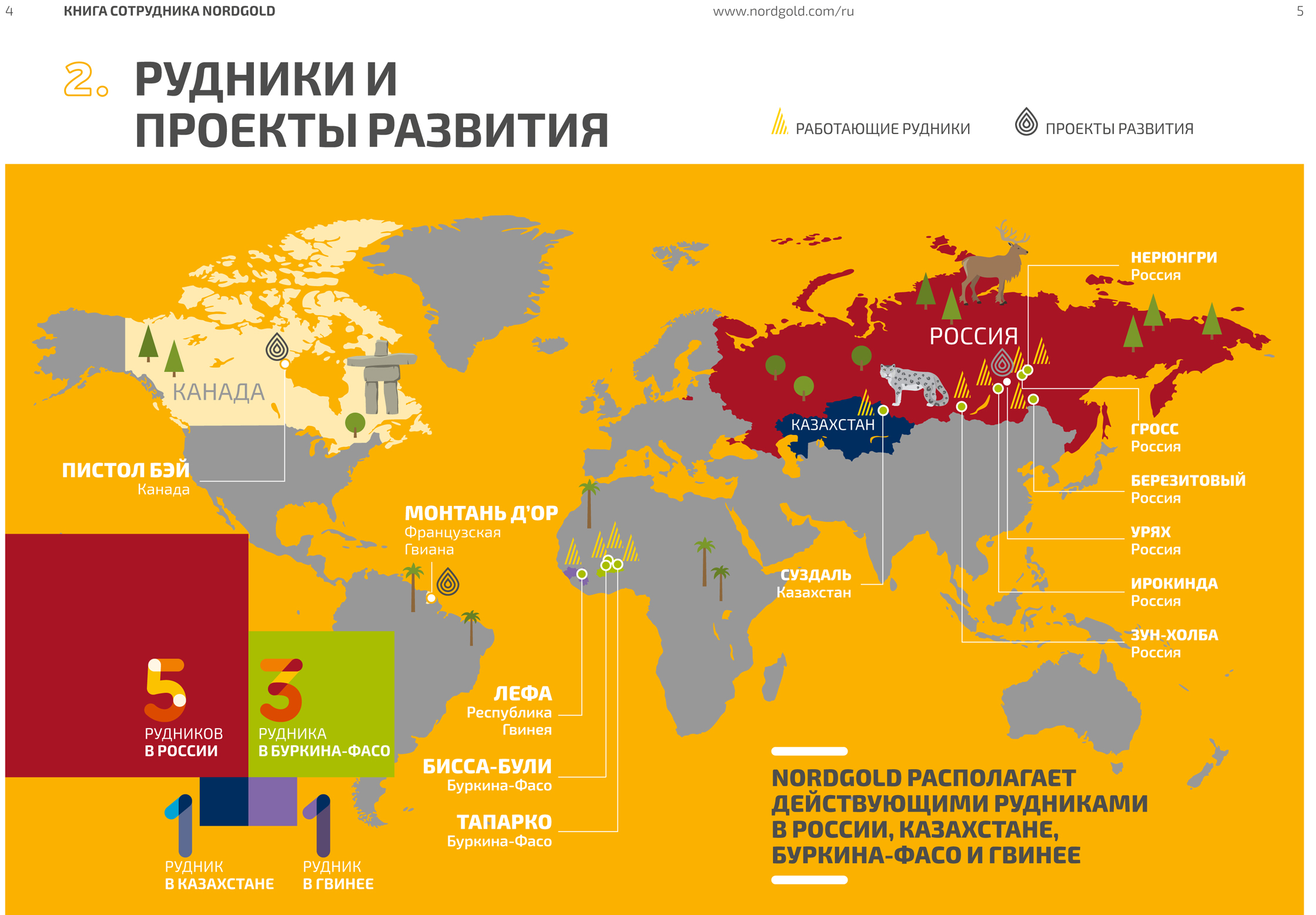 Дизайн, верстка, отрисовка иллюстраций для книги сотрудника