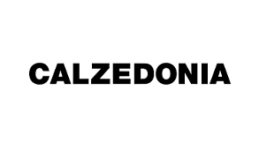 Calzedonia — итальянский производитель белья и пляжной одежды